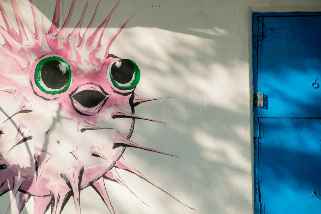 aquaoutback-resort-1